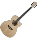 Washburn AG 40 CE (FN) Gitara elektroakustyczna