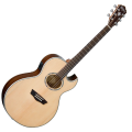 Washburn-gitara-elektroakustyczna-EA20SNB(N)