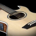 Washburn-gitara-elektroakustyczna-EA20SNB(N)